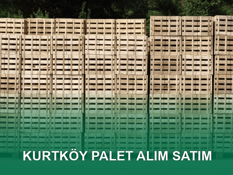Kurtköy Palet Galeri 3