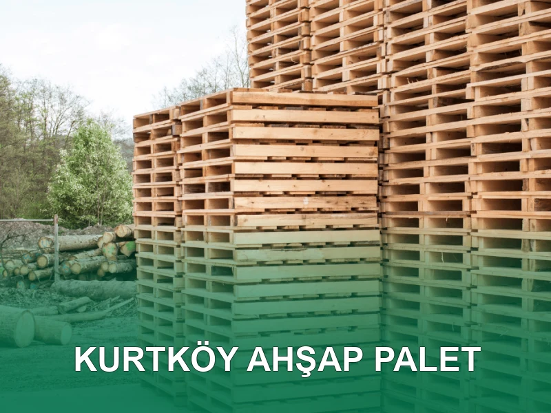 Kurtköy Palet Galeri 4